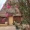 Badry Sahara Camp