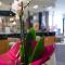Hotel Junior by OasiGroup Hotels