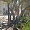 Aloe Guest House