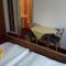 Pension Sonnengrund