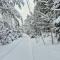 Le Chouette Chalet