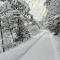 Le Chouette Chalet