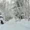 Le Chouette Chalet