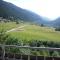 Disentiserhof C502