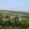 HEINRICHs winery bed & breakfast - Langenlonsheim