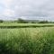 2 Bed in Axminster oc-blolo