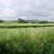 3 Bed in Axminster oc-bloco