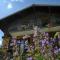 Chalet Génépi - Montriond