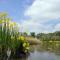 de Brabantse Biesbosch - Werkendam