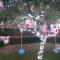 Rifa b&b