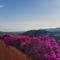 Villa Contenta Canyelles