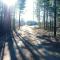 Four Seasons Algonquin Cabins