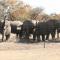 Thorn Tree Bush Camp - Klipdrift