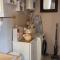 Apartment Negrin