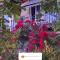 ROLEO Guest House