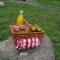 Glamping El Establo