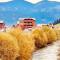 SEIN Boutique Suites - ADULTS ONLY