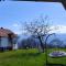 Dušanovac Panorama House - veliko dvoriste, 2 rostilja, pogled na Rasku