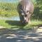 Camp Hogo Kavango