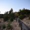 Alpaca Farm - חוות האלפקות