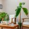 2 Bed in Appleby-in-westmorland oc-87537