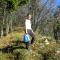 Studio Jesenice