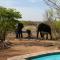 Bushvilla Umoja Kruger