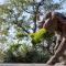 Bushvilla Umoja Kruger