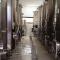 Bed&Wine Terrae Tiferni