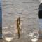 Youvala serviced Apartment 30th (Harm)
