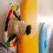 Freebirds Hostel