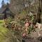 Willowherb and Foxglove Cottages Hawick