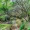 Wolf Creek Retreat