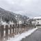 Chalet Berger