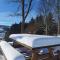 Sauerland Alm Winterberg 5