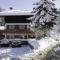 Apt Chénives 1 - Morzine
