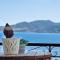 Tasoula Studio with sea view 6