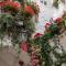 Il Giardino - Cisternino