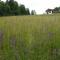 Grotthof