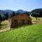 Chalet le Lys Martagon