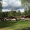 Foto: Steinvik Camping 3/19