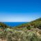Tramuntana