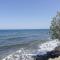 Frantzis studio 4