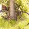 Hofquartier