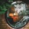 Camping Passeier Glamping Aurum