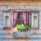 Lotschenhof Apt Tulpe