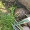 LaRos Apt