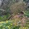 Garden Studio for Two