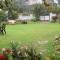Green Serene Abode