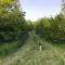 1 Bed in Beaworthy oc-hihid
